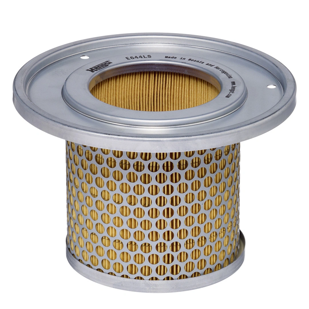 Secondary Air Filter